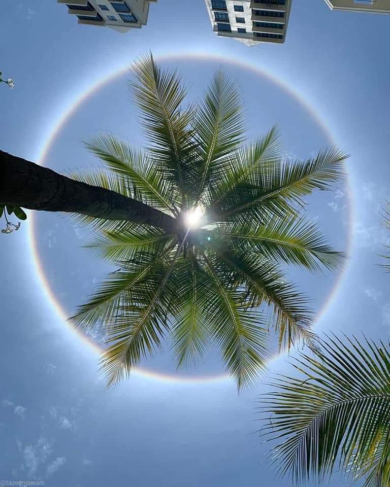 Sun -Rainbow-Nature