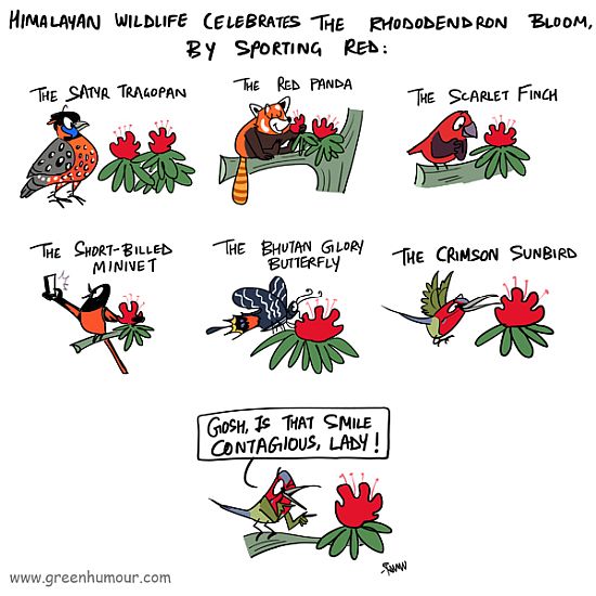 World Environment Day: Green Humour – Sketching up a green revolution