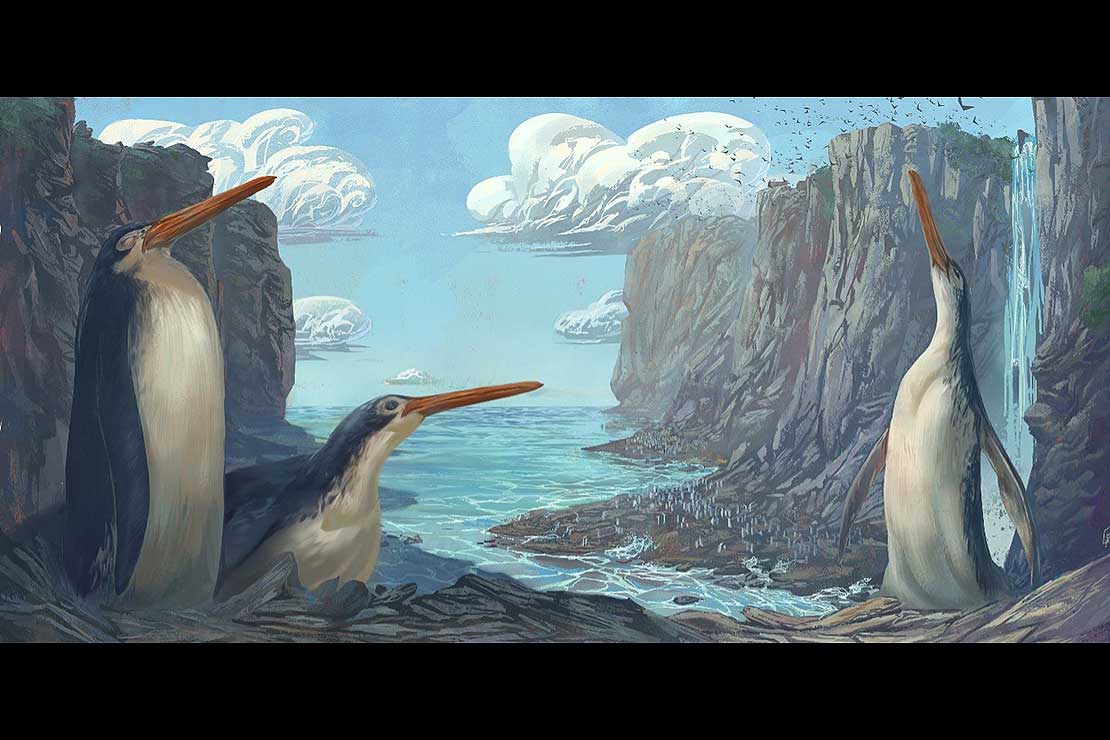 Young explorers discover giant penguin species in New Zealand