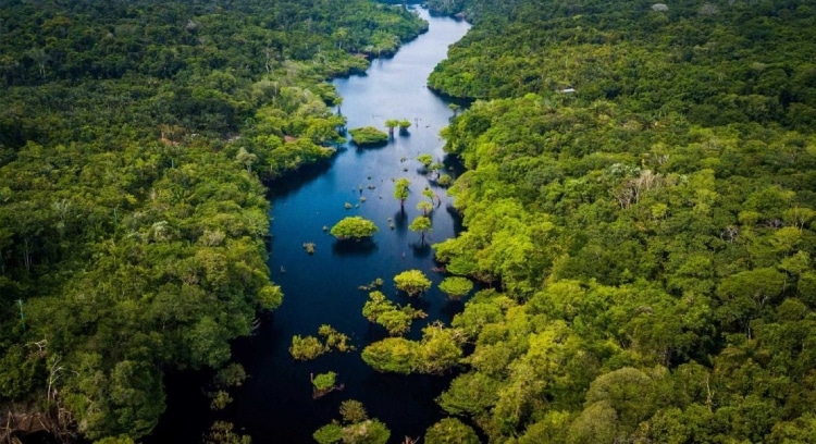 climate biodiversity