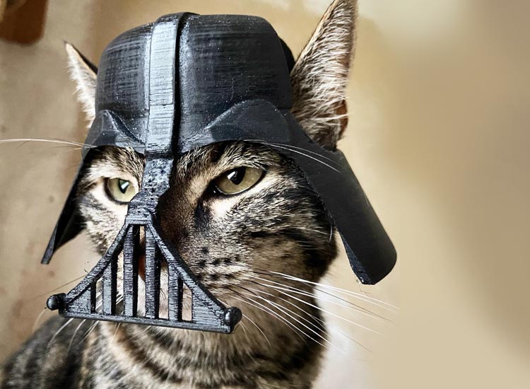 Man creates adorable 3D printed helmets for his cat