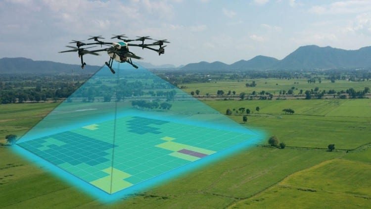 Drones to plant 100 Million trees by 2024