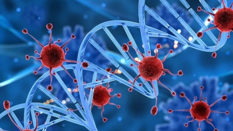 All cancer patients in drug trial appear to be cured for the first time