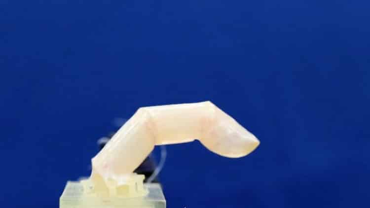 Scientists designed a humanoid robotic finger with living humanlike skin