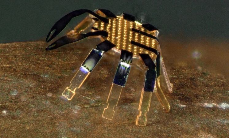 Engineers Have Developed The World’s Smallest Remote Controlled Robot
