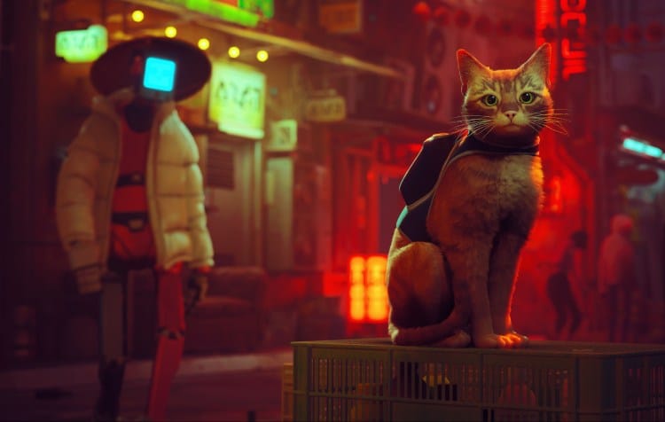 Stray — A simple game that could be the next sensation