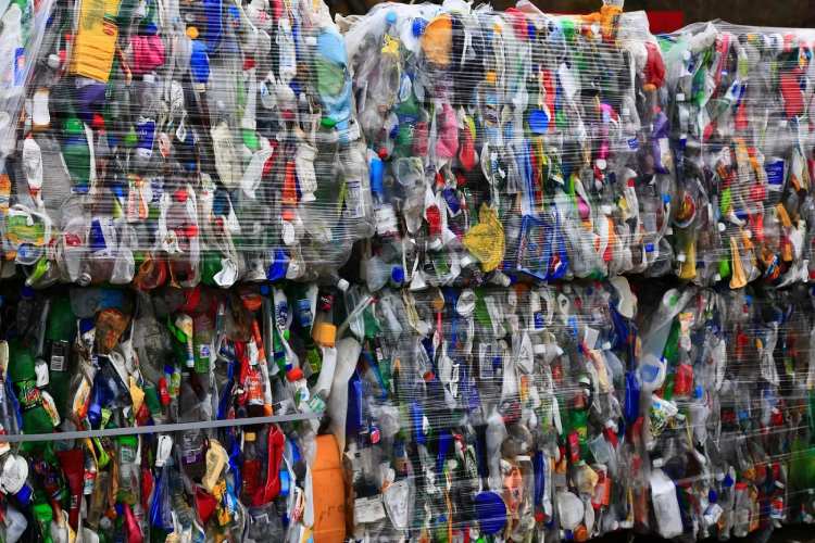 EAD works towards government-free single-use products with 60 government organisations