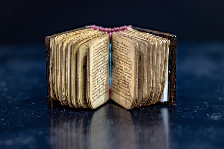 Creative masterpieces and publications from across Europe attract diverse readers at SIBF 2022
