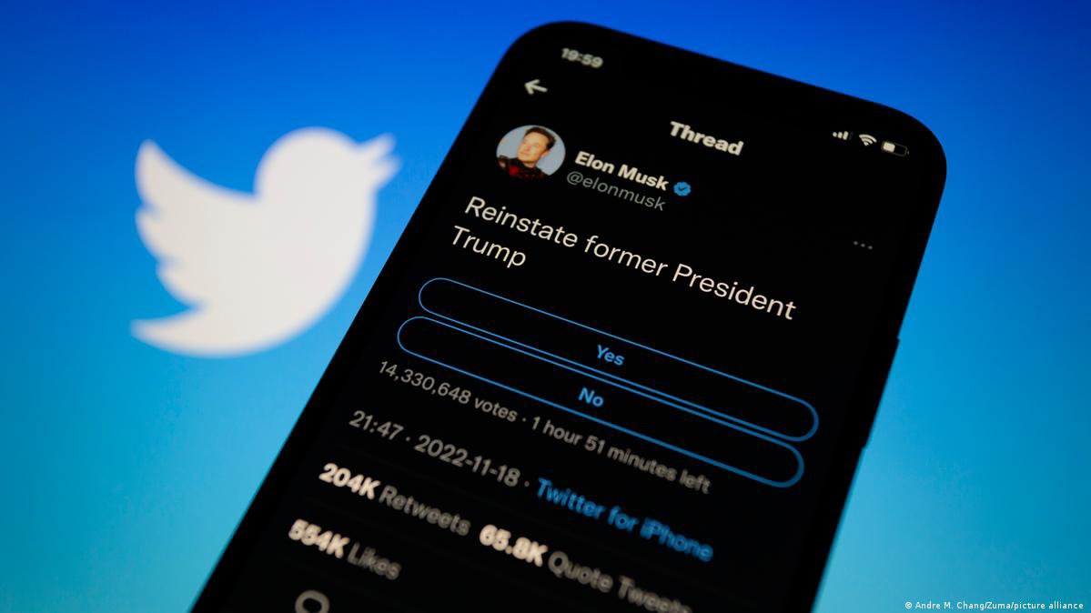 Elon Musk reinstates Donald Trump on Twitter (1)