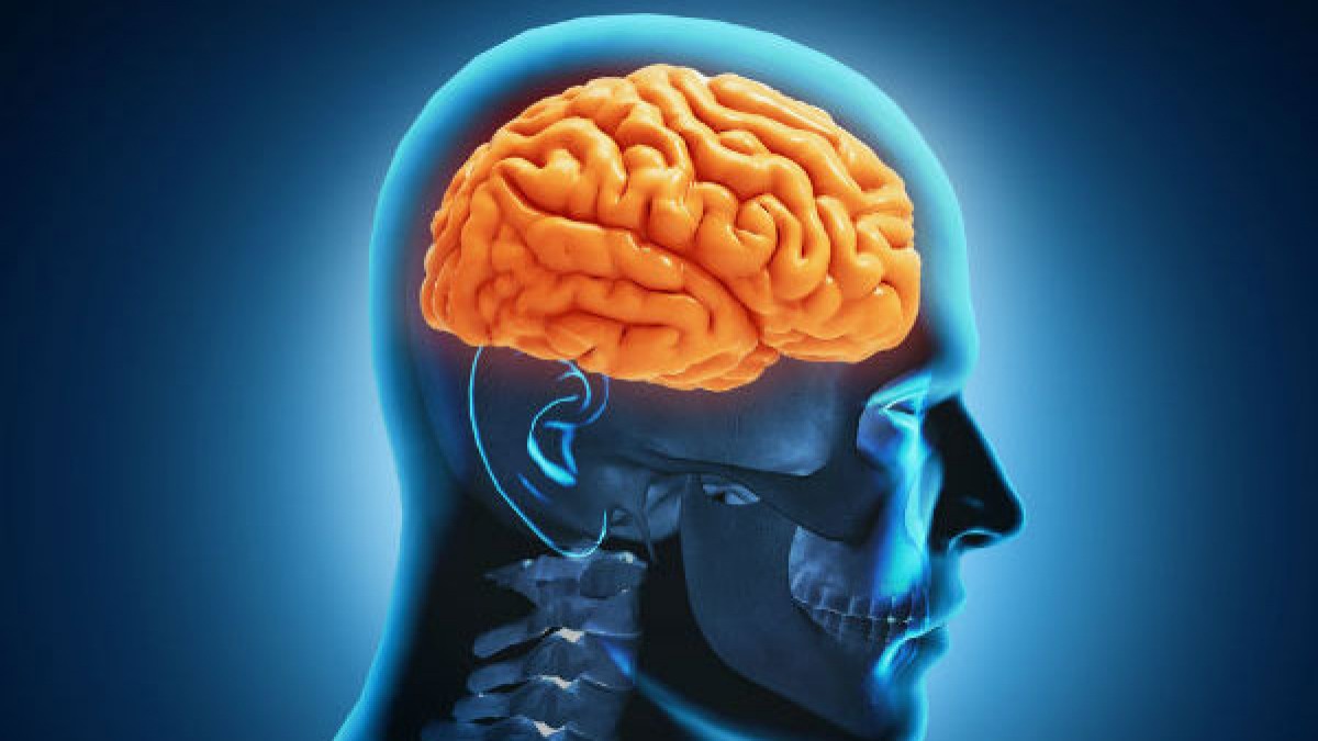 South Korea Ameoba infection First infection of 'brain-eating amoeba' reported in S.Korea