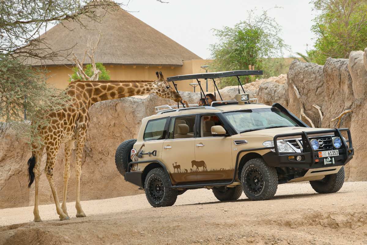 Educational programs in Al Ain Safari