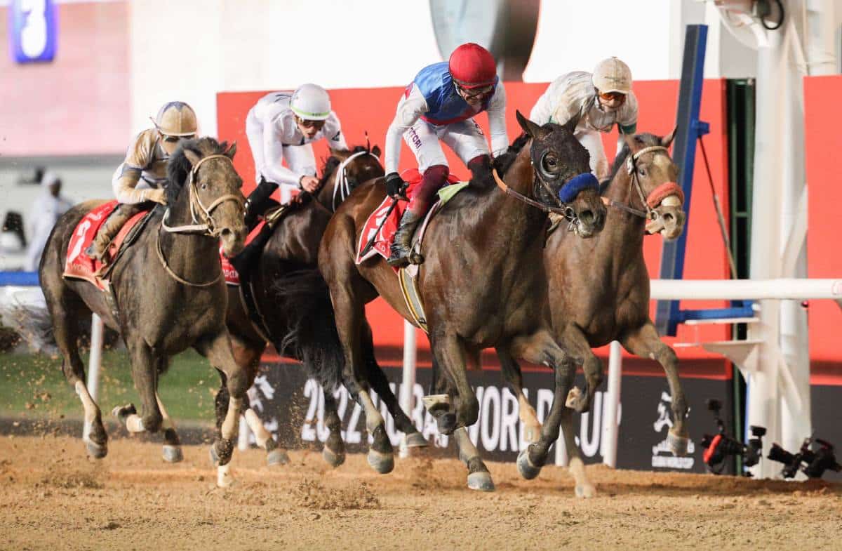 Dubai World Cup 2023 brings together 129 horses from 13 countries contesting for a prizemoney of US30.5 million