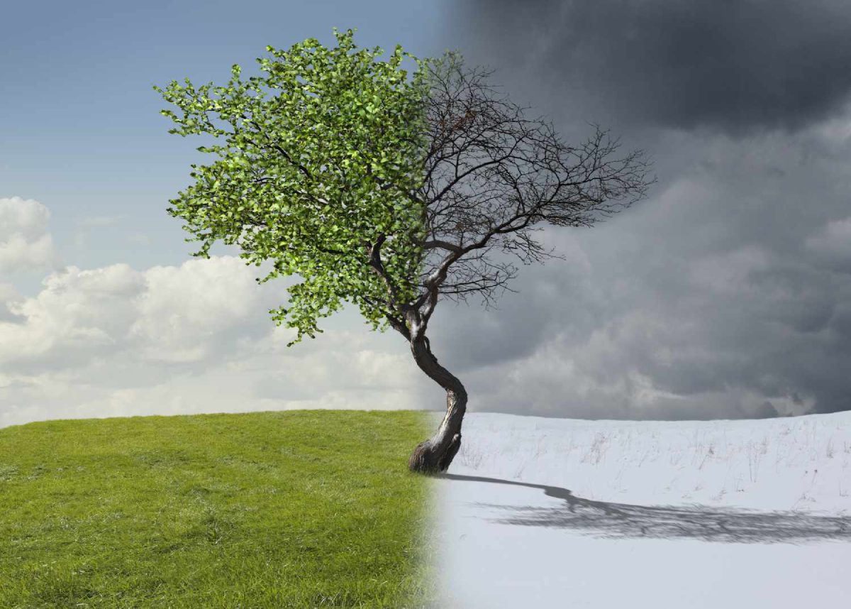 Medical experts explain the four things that happen when you die