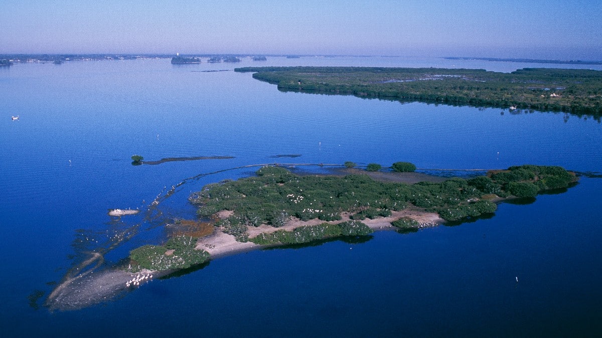 this-day-that-year-march-14-history-pelican-island-national-wildlife-refuge