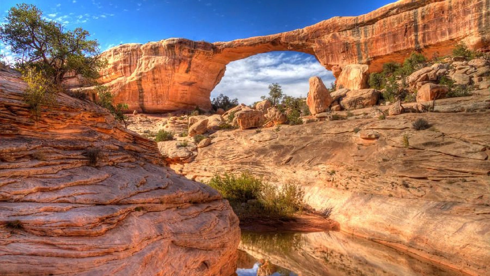 this-day-that-year-april-16-history-natural-bridges-national-monument