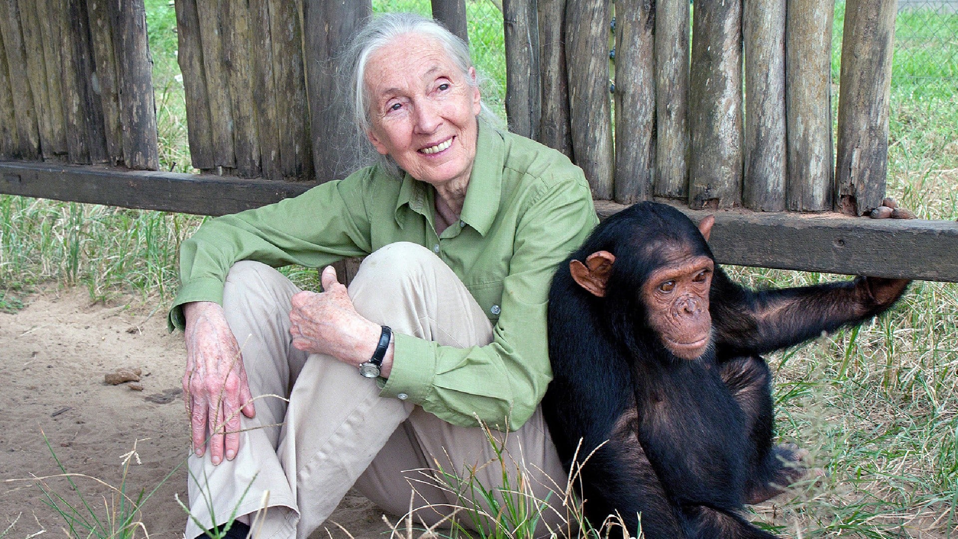 this-day-that-year-april-3-history-jane-goodall