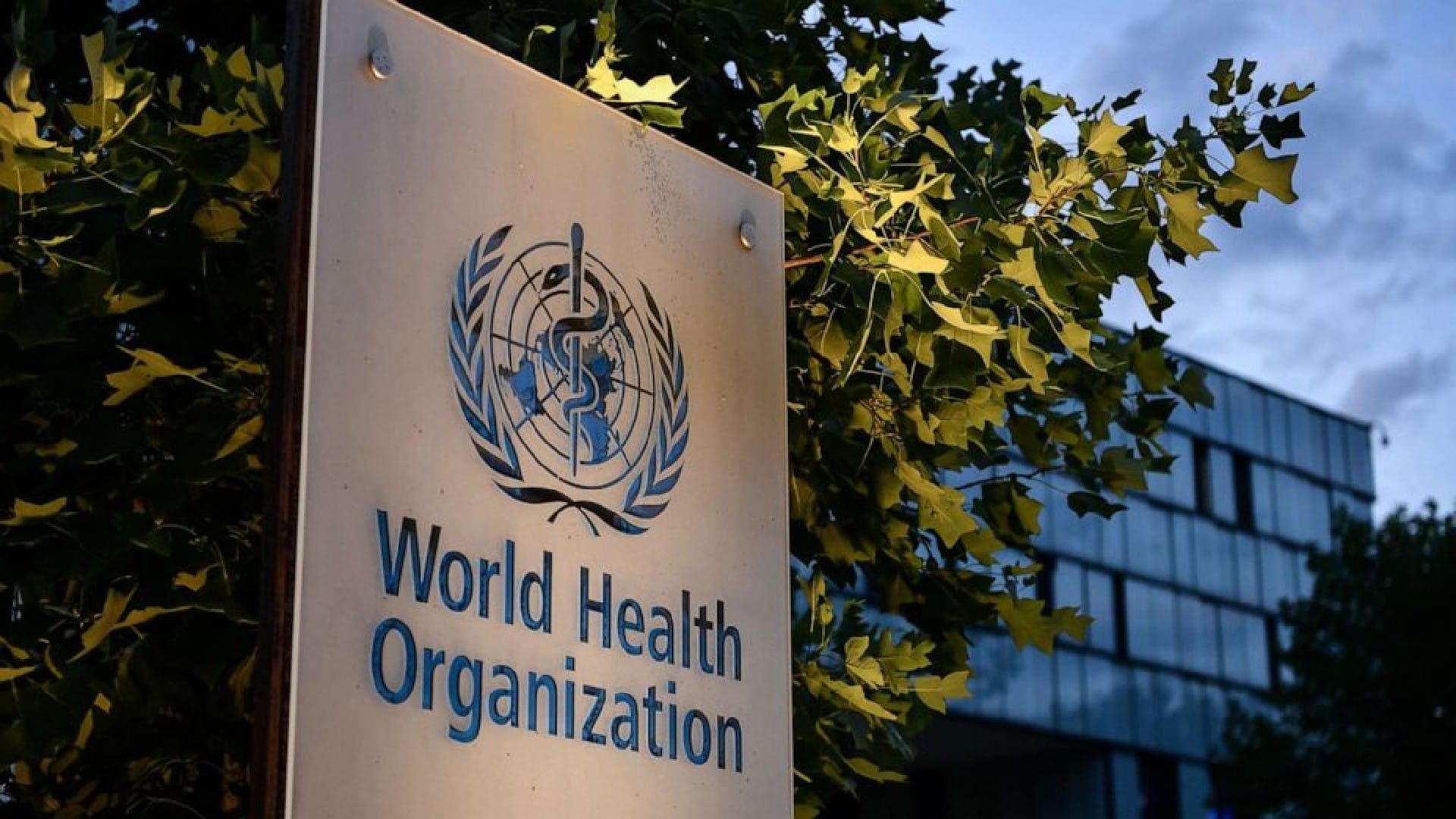 this-day-that-year-april-7-history-world-health-organization