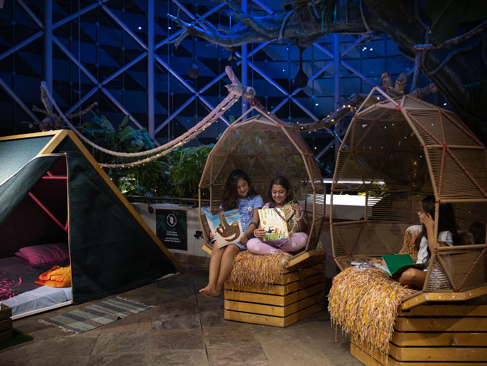 Camping-In-The-Rainforest
