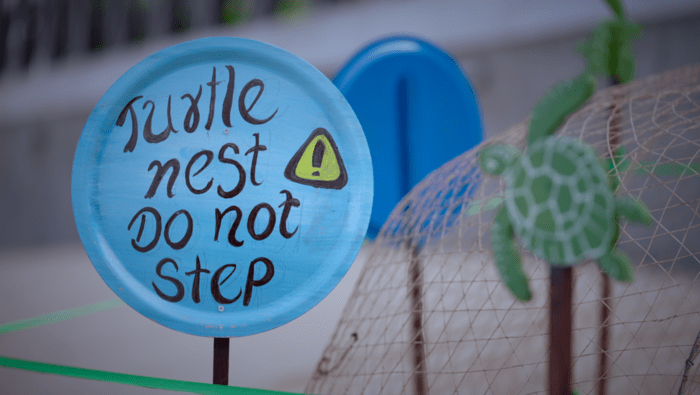 fujairah-beach-turtle-nesting