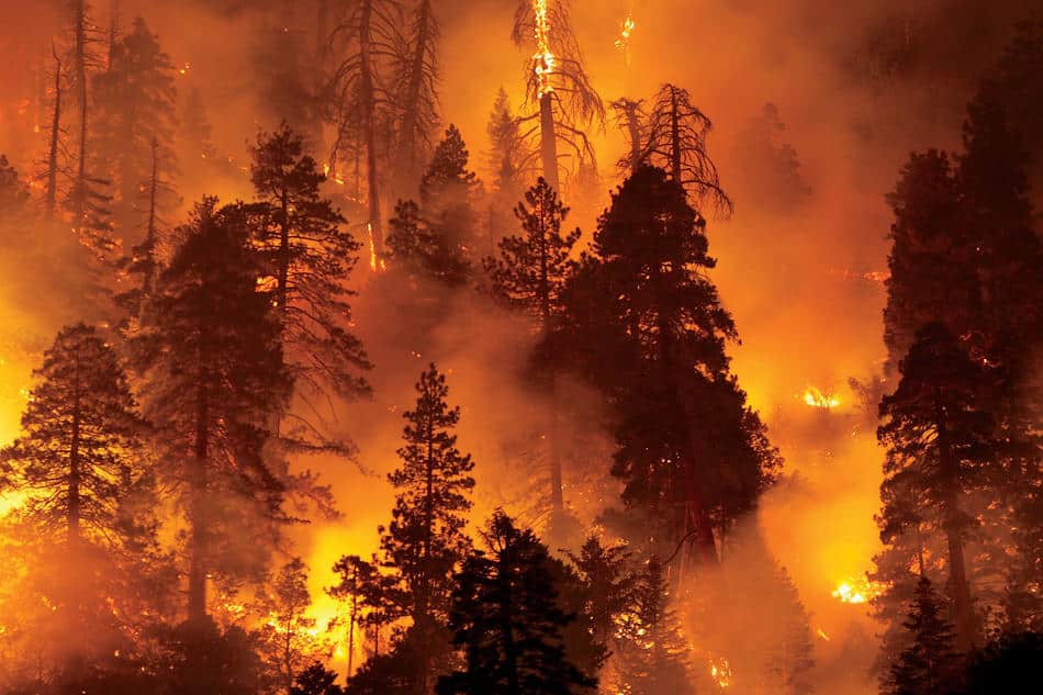 era-of-global-boiling-has-arrived