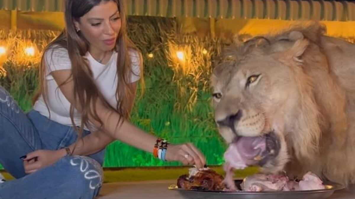 lion-eats-dinner-with-woman