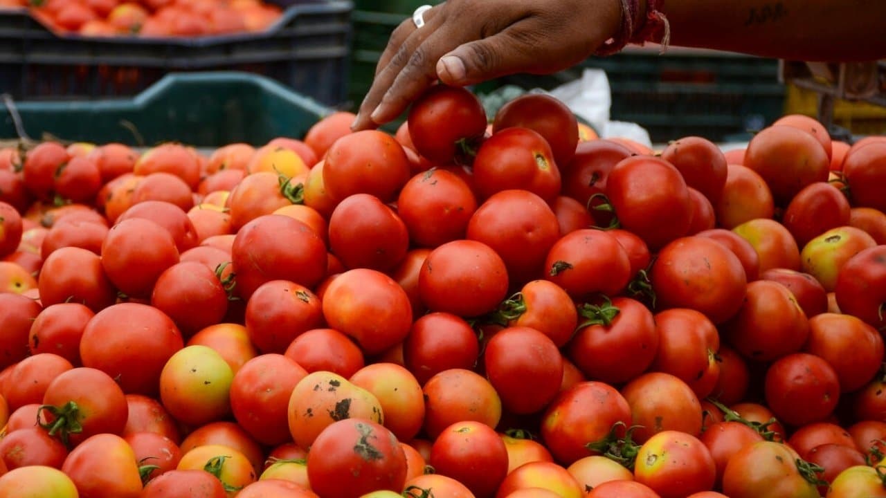 pune-man-earned-crore-selling-tomatoes