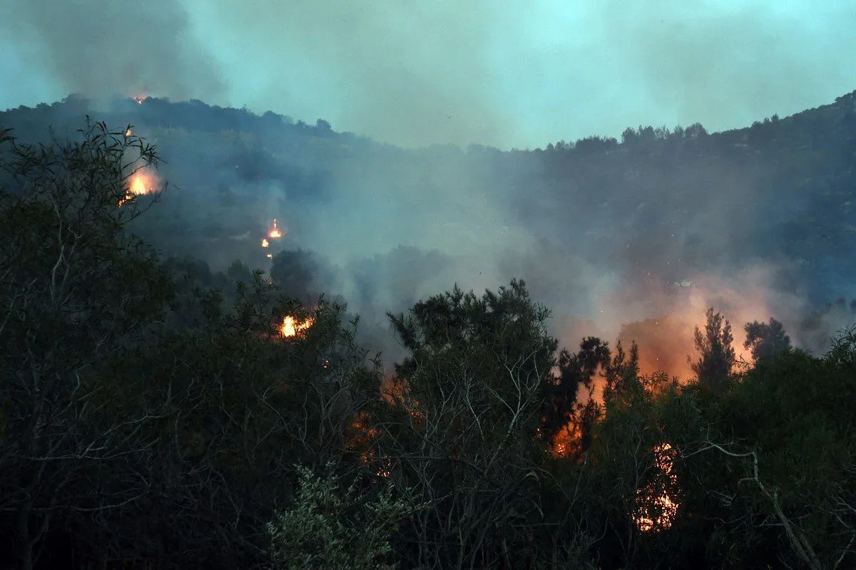 uae-stands-in-solidarity-greece-tunisia-wildfires