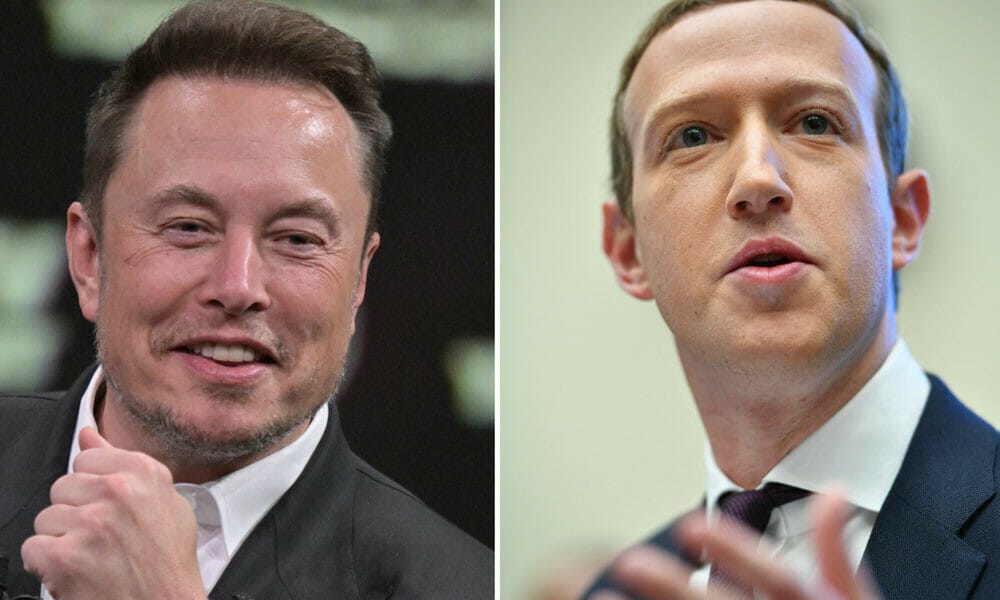 elon-musk-cage-fight-mark-zuckerberg