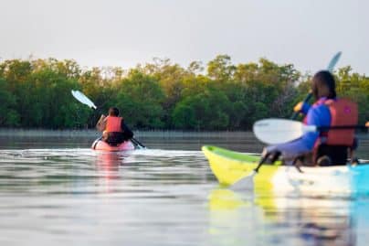 Adventure and wildlife activities this winter: Are you up for it?
