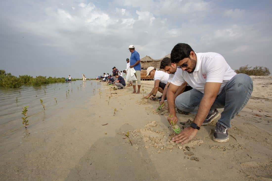 Climate Action-100 million mangroves