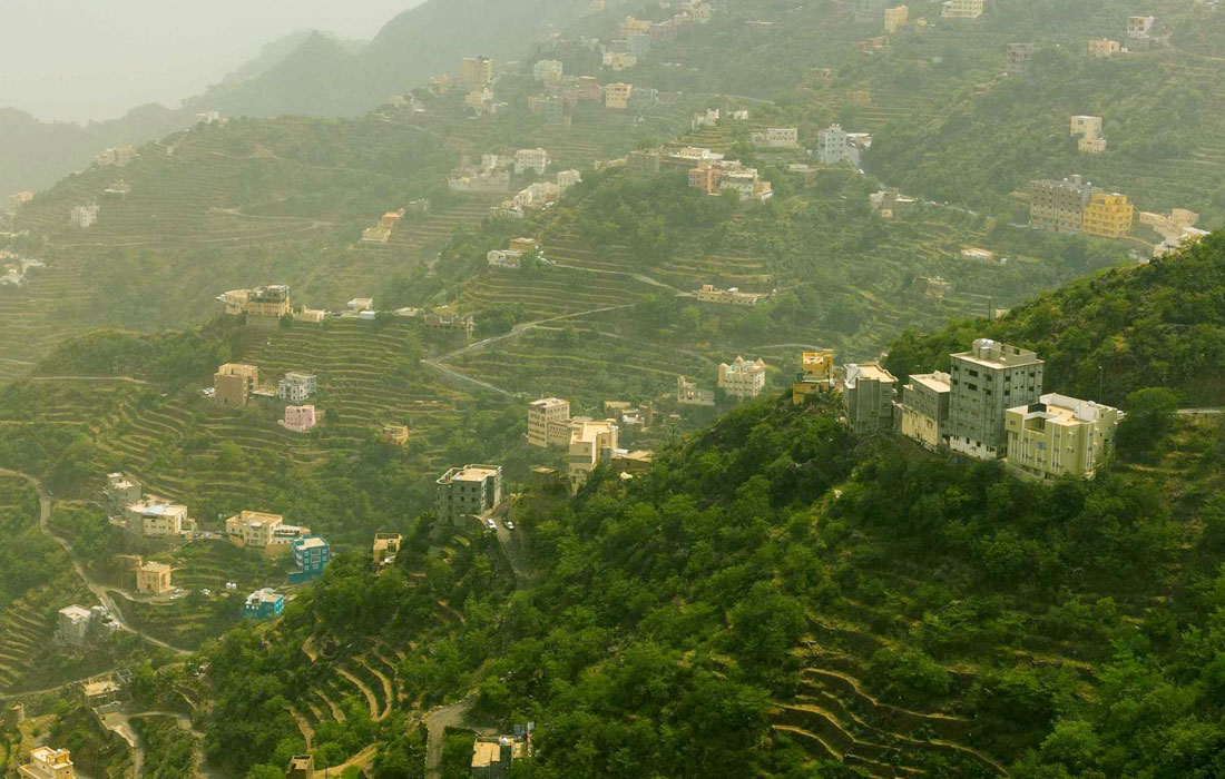 10-billion-trees-Saudi-Arabia-SGI