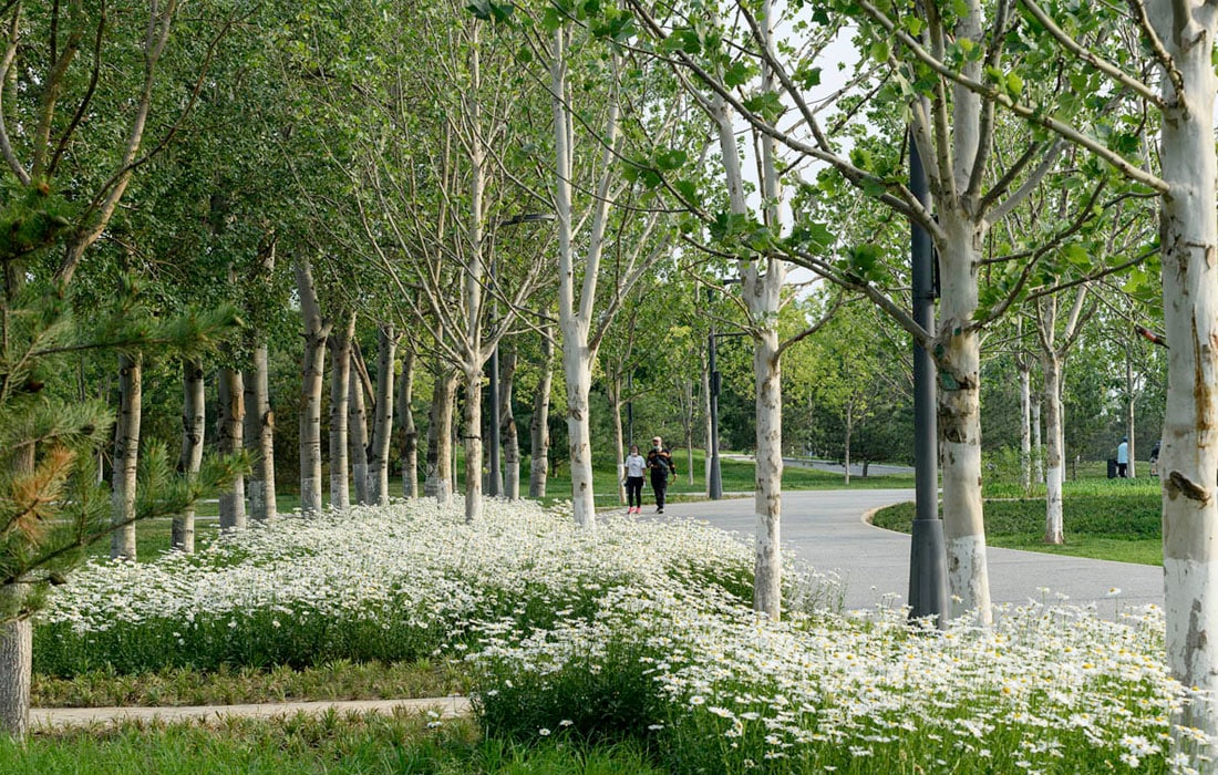 Beijing-National-Forest-City