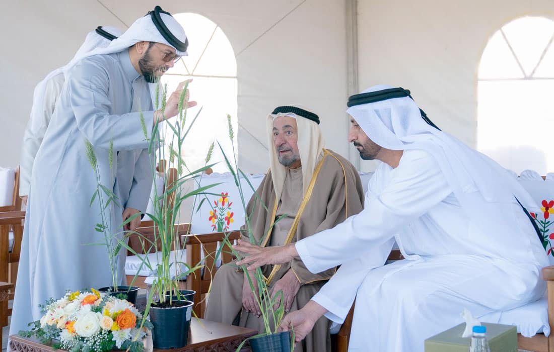 Sharjah-Ruler-Wheat-farm-Mleiha