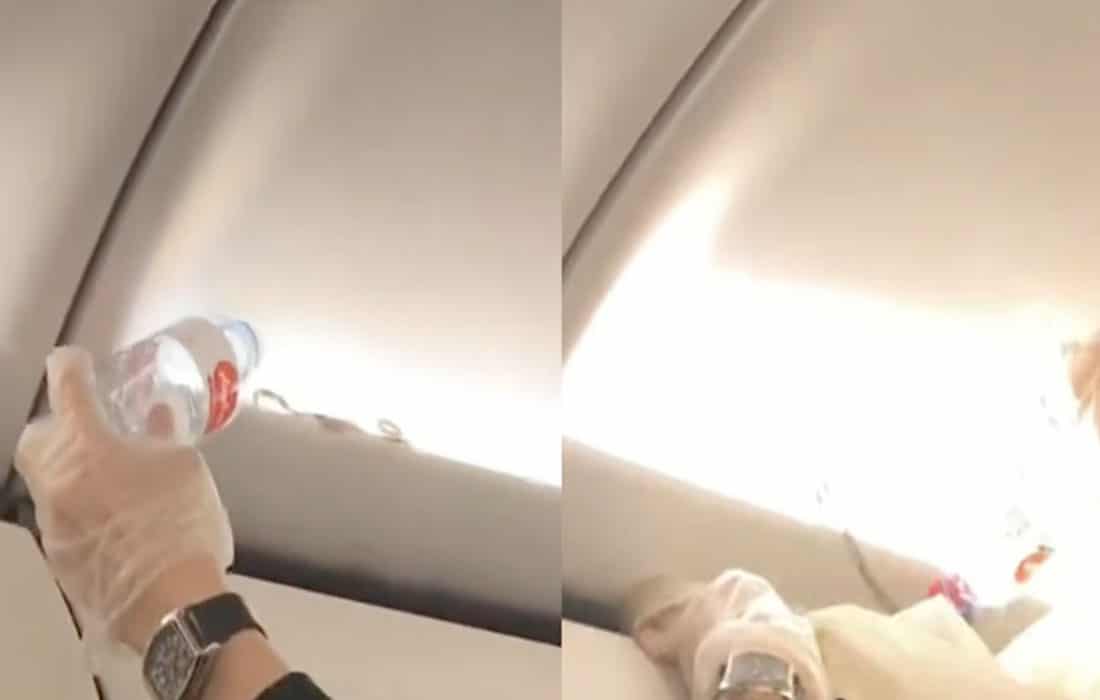 Snake-Thai-AirAsia-plane