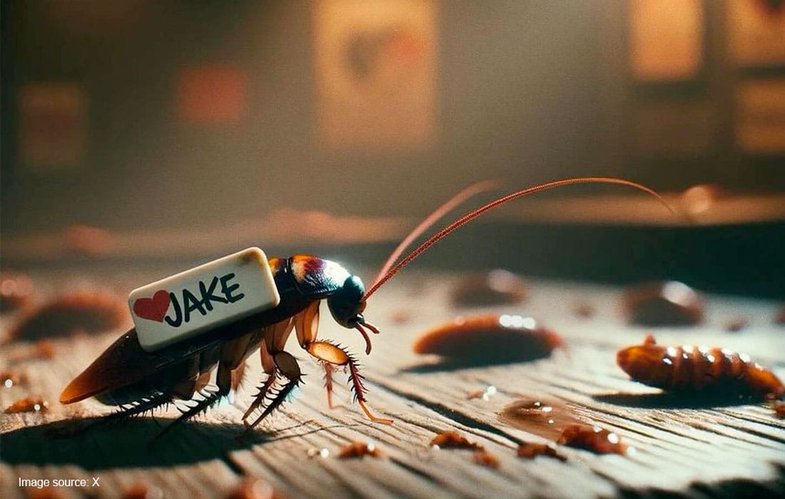 Zoo-name-cockroach-ex