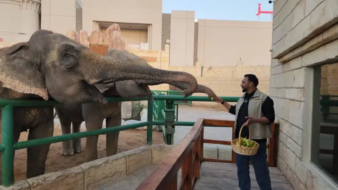 Experience Ramadan's familial essence, share iftar with animals at Emirates Park Zoo