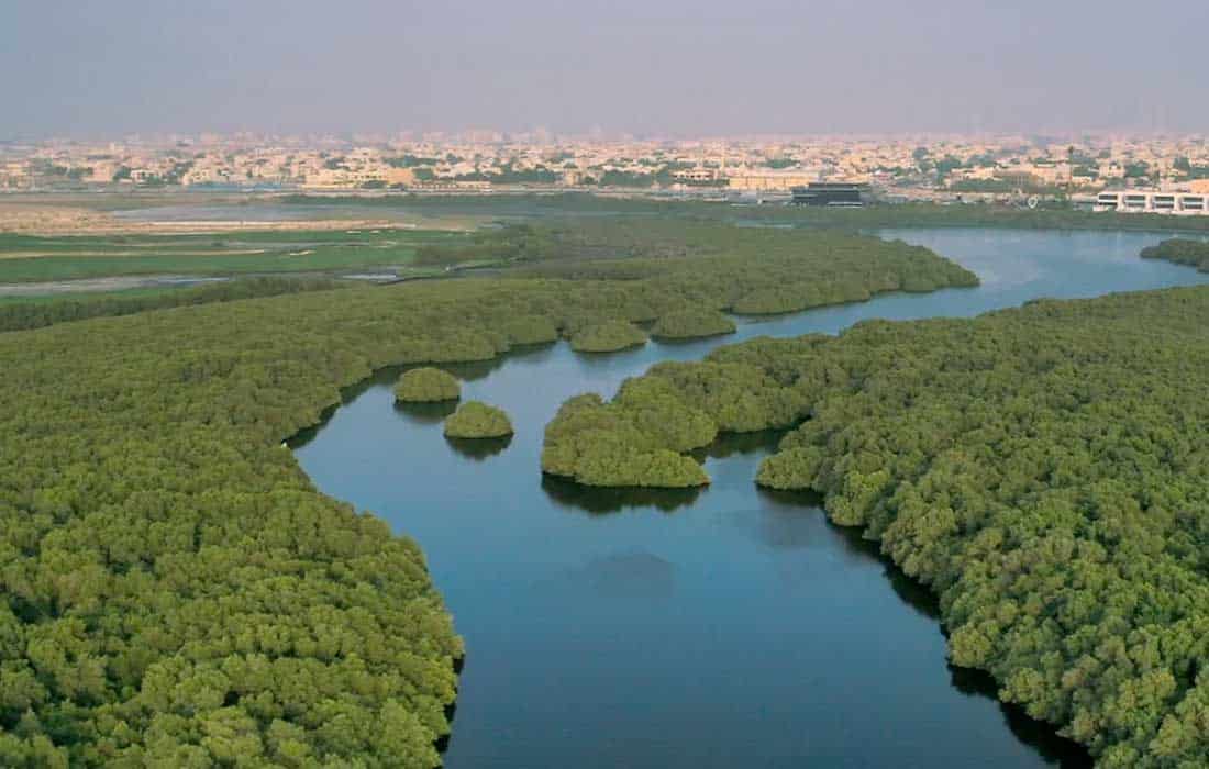 International-Environment-Conference-Ajman