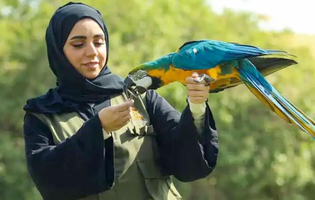 Al-Ain-Zoo-celebrates-World-Veterinary-Day