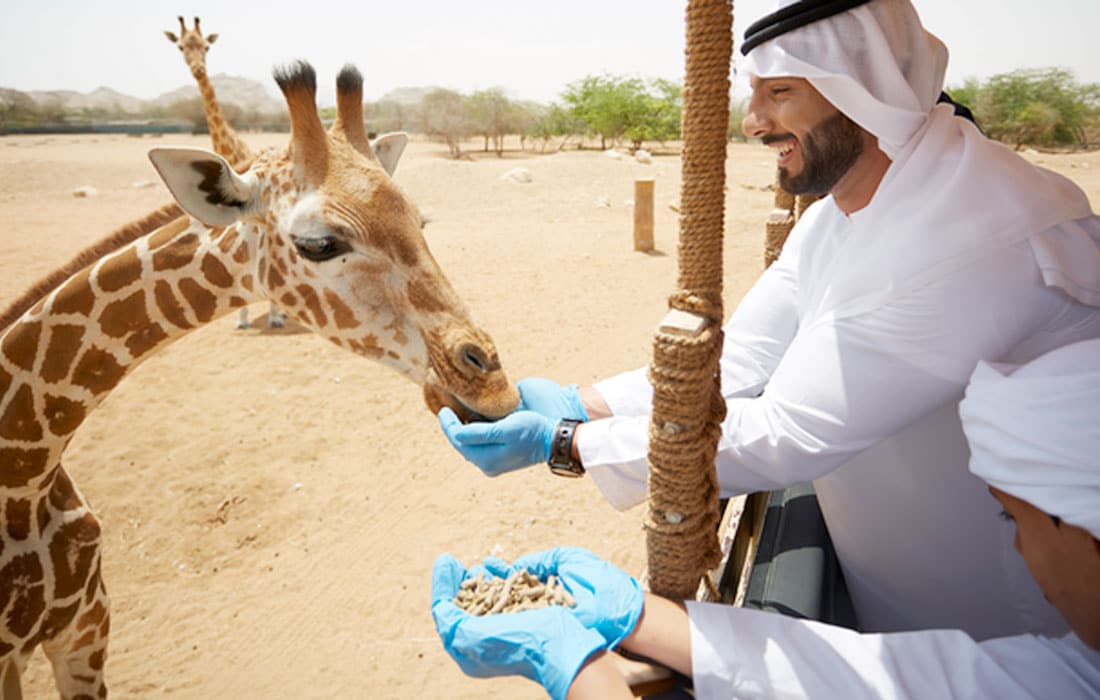Al-Ain-plant-based-animal-food