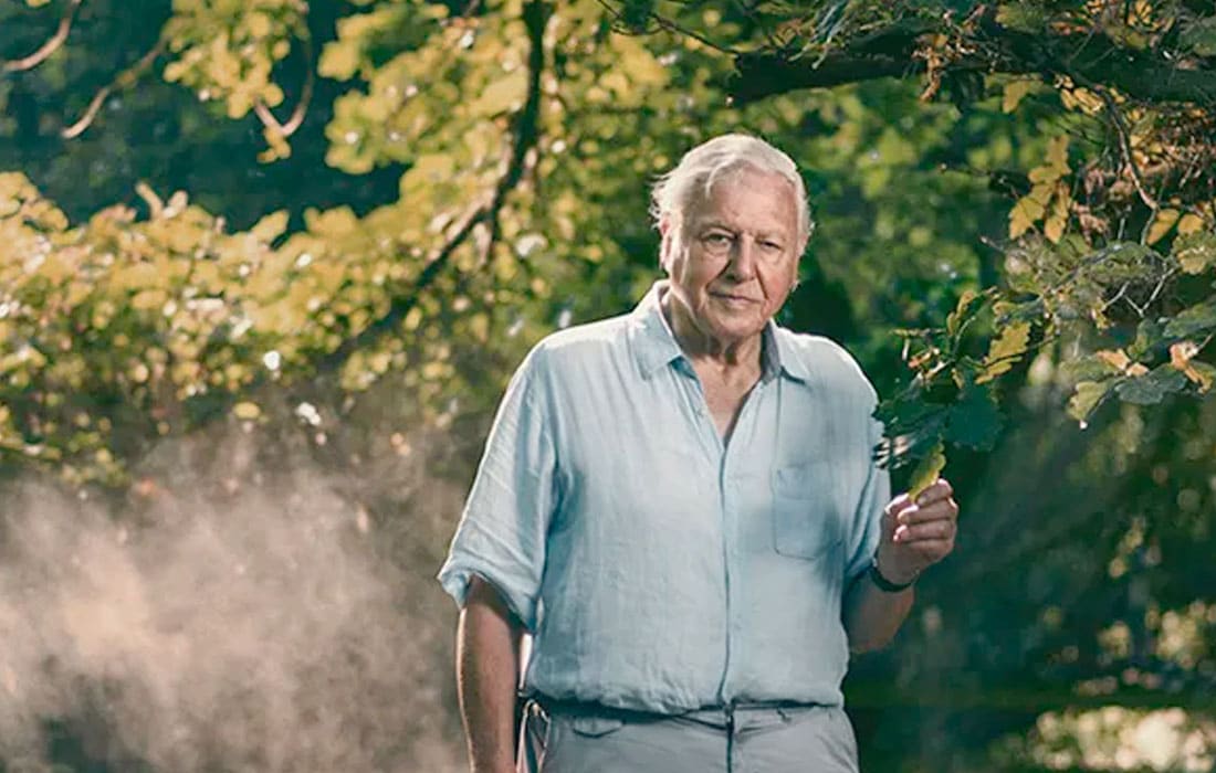 David-Attenborough-BBC-Planet-Earth-III