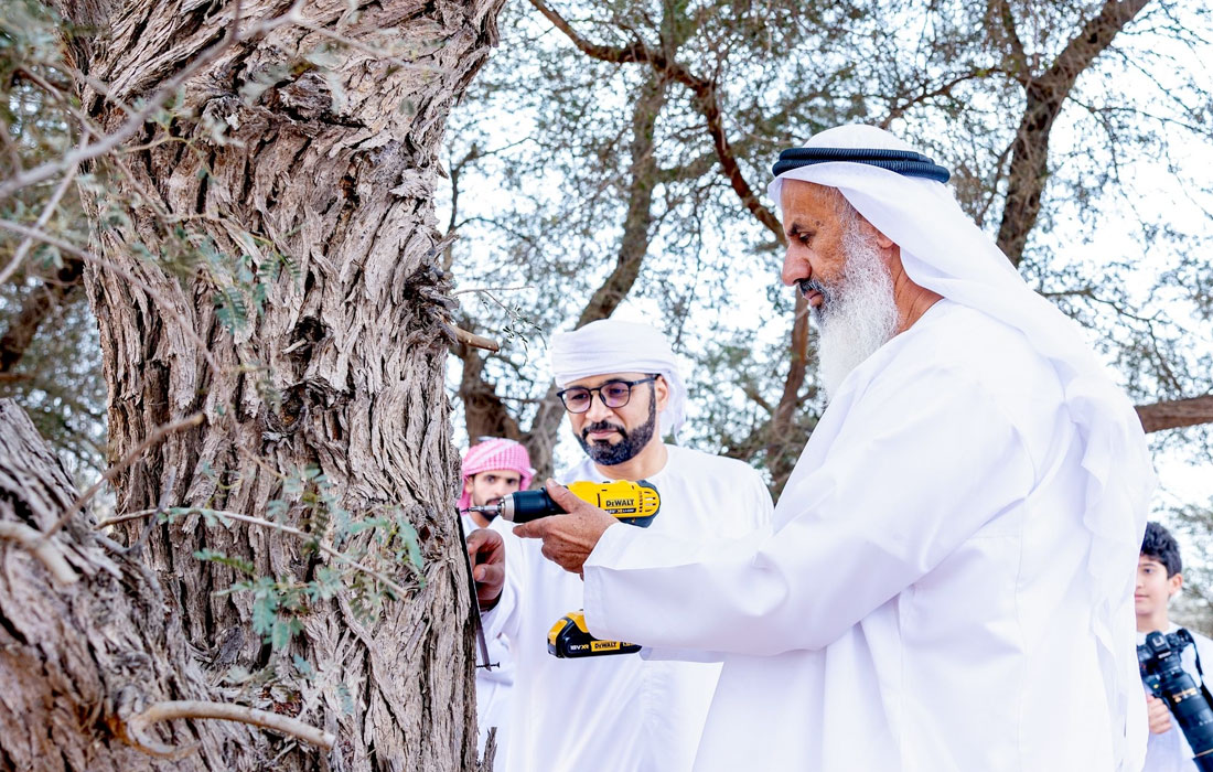 EAD-ghaf-native-tree-tagging-programme