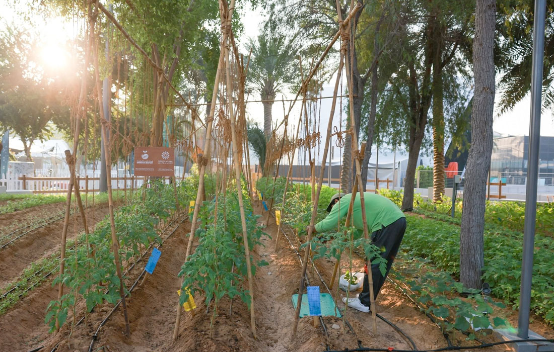 Expo-City-Farm-farmers-nature