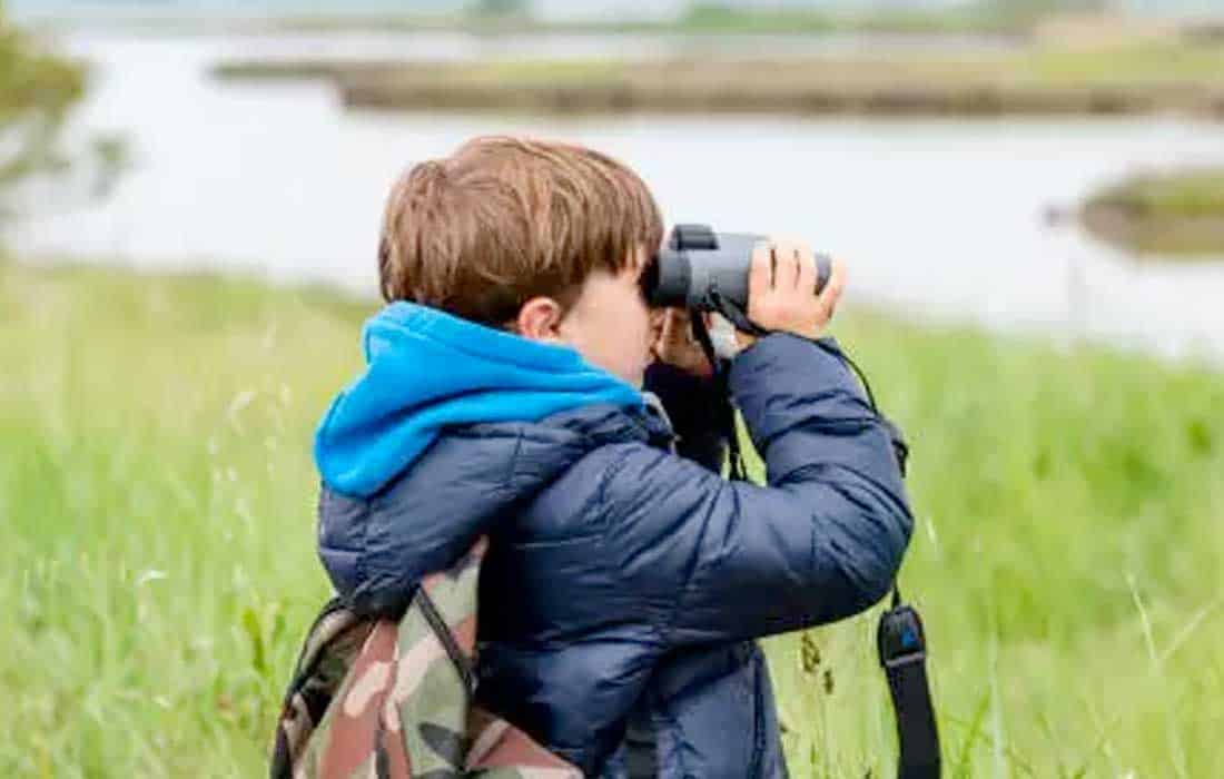 Bird-watching-kids-students-stress-mental