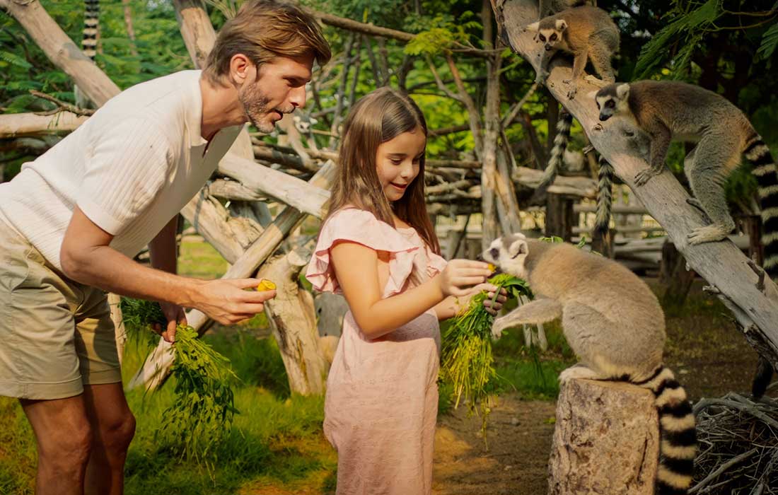 Dubai Safari Summer journey and walk in the wild