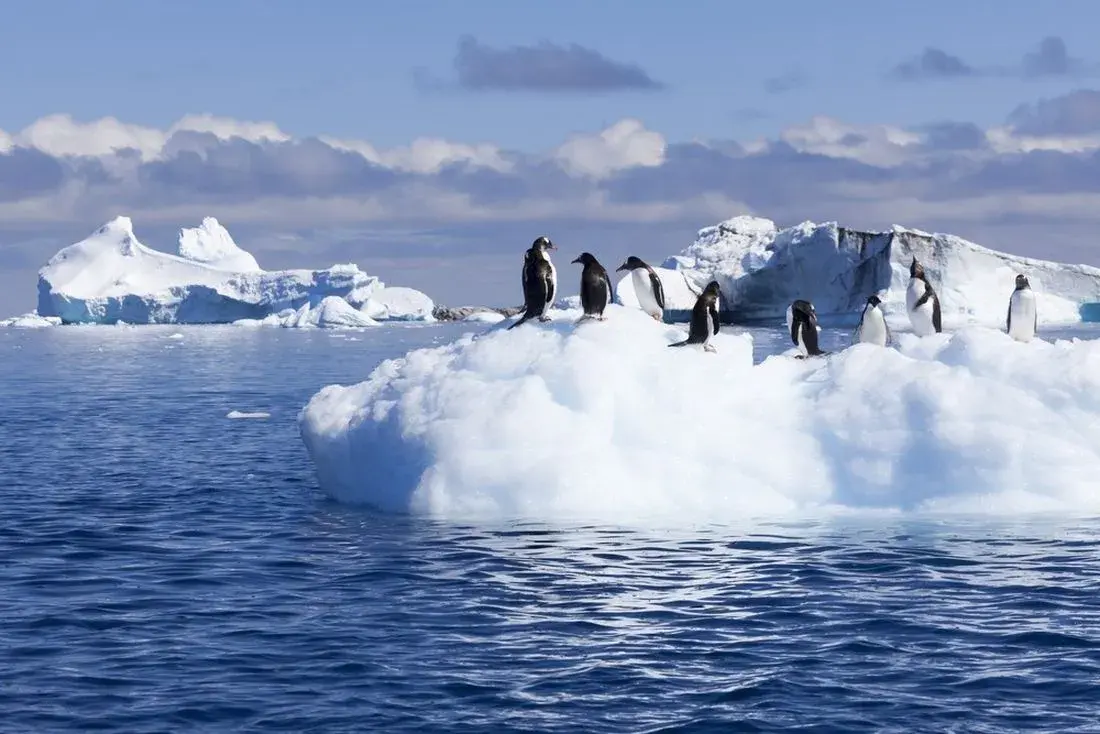 EDUOUTINGS introduces South Pole Expedition for adventurous explorers seeking exotic travels