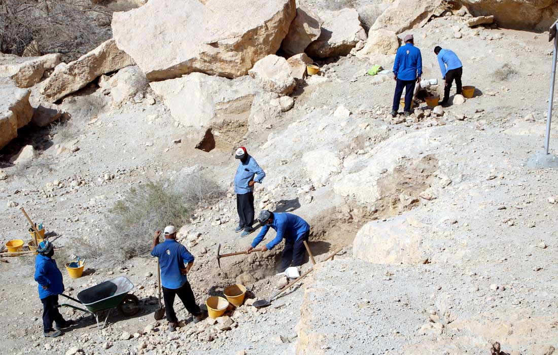 Archaeological discoveries in Fujairah on ancient settlement history