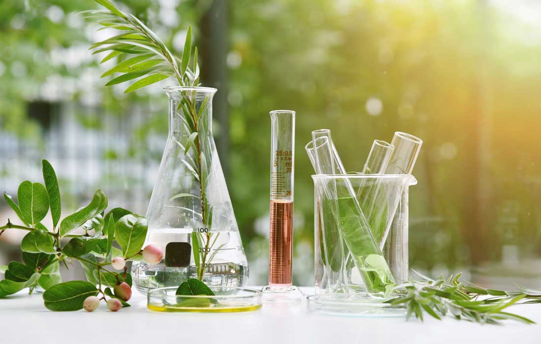 Plants show signs of intelligence, surprising scientists with their abilities