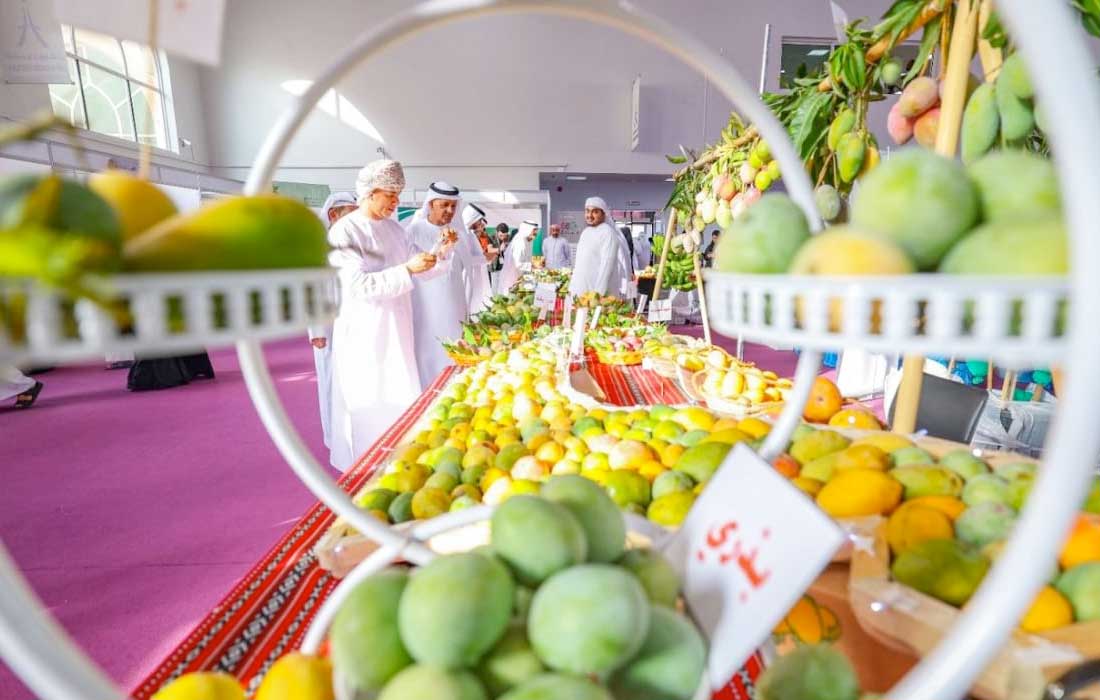Sharjah Chamber finalises preparations for 3rd annual Mango Festival 2024 at Expo Khor Fakkan