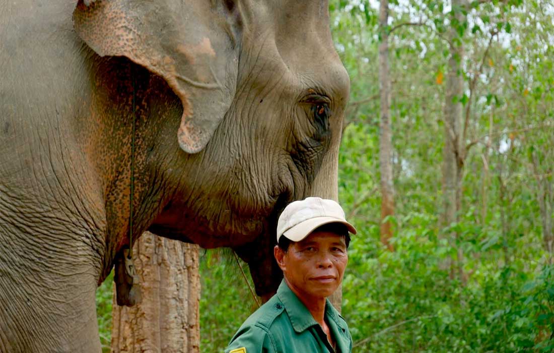 Vietnamese wildlife hospital rescues hundreds of forest animals