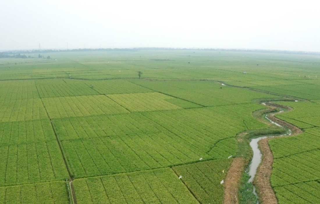 World Bank encourages climate-resilient irrigation to transform lives